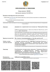 Приложение к лицензии