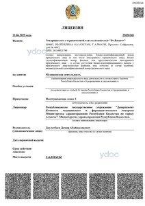 Лицензия Лицензия