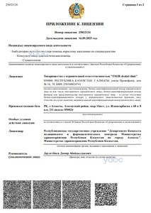 Приложение к лицензии