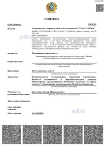 Лицензия Лицензия