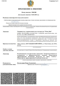 Лицензия Лицензия