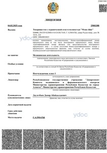 Лицензия Лицензия