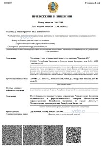 Лицензия Лицензия