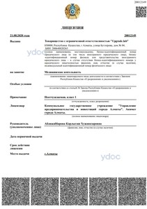 Лицензия Лицензия