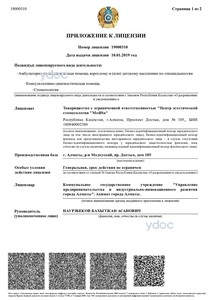 Приложение к лицензии Приложение к лицензии