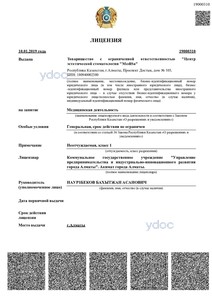 Лицензия Лицензия