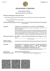 Приложение к лицензии