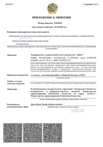 Приложение к лицензии Приложение к лицензии