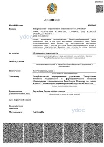 Лицензия Лицензия