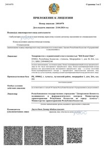 Приложение к лицензии