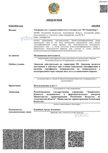 Лицензия Лицензия