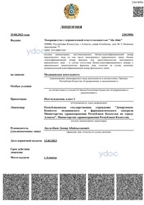 Лицензия Лицензия