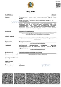 Лицензия Лицензия