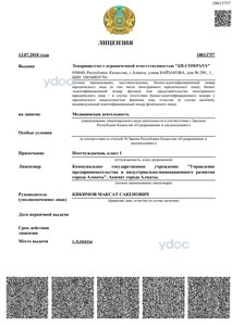 Лицензия Лицензия