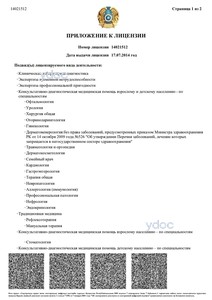 Приложение к лицензии