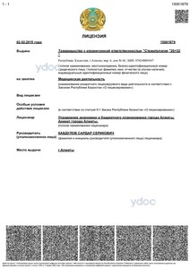 Лицензия Лицензия