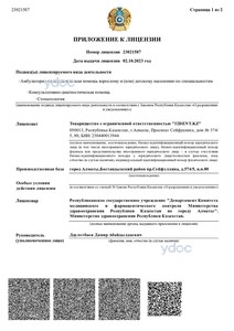 Приложение к лицензии Приложение к лицензии