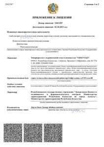 Приложение к лицензии Приложение к лицензии