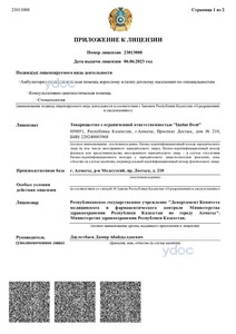 Приложение к лицензии