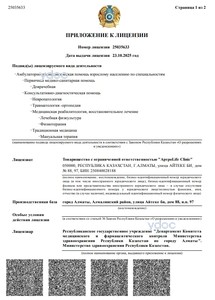 Приложение к лицензии