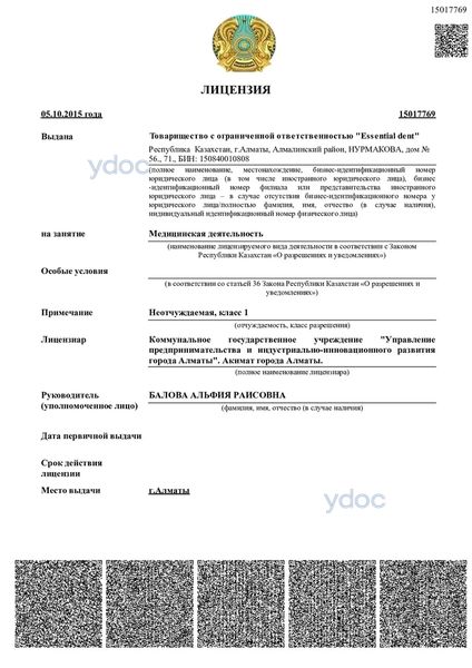 Лицензия Лицензия