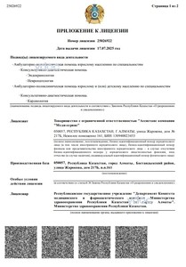 Приложение к лицензии