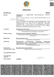 Лицензия Лицензия