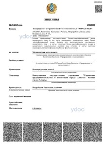 Лицензия Лицензия