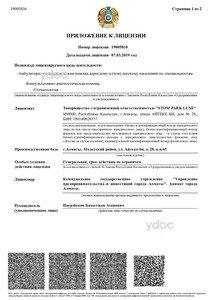 Приложение к лицензии