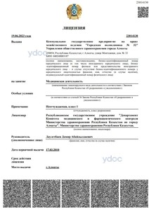 Лицензия Лицензия