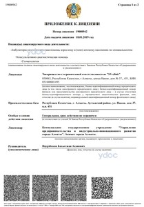 Приложение к лицензии