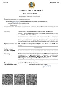 Приложение к лицензии