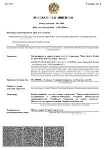 Приложение к лицензии