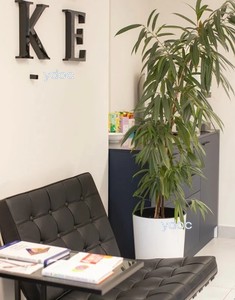 Демалыс аймағы