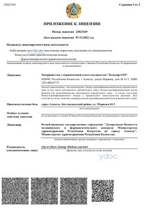 Лицензия Лицензия