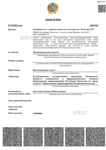 Лицензия Лицензия