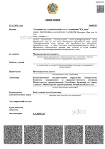 Лицензия Лицензия