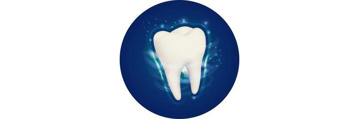 Стоматология «City Stom» (Сити Стом), Алматы - фото