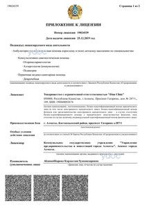 Лицензия Лицензия