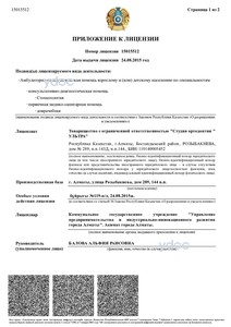 Приложение к лицензии