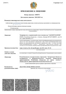 Приложение к лицензии