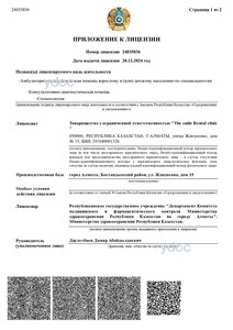 Приложение к лицензии