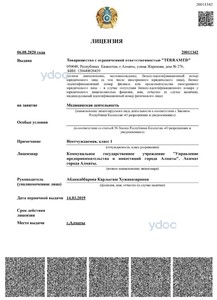 Лицензия Лицензия