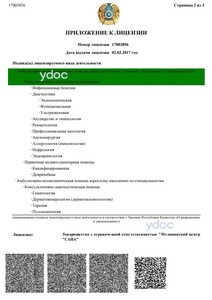 Приложение к лицензии