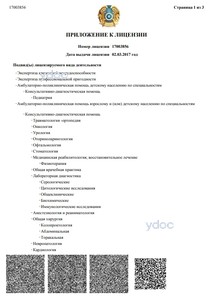 Приложение к лицензии