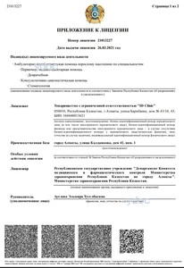 Приложение к лицензии