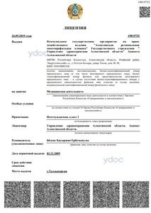 Лицензия Лицензия