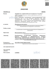 Лицензия Лицензия