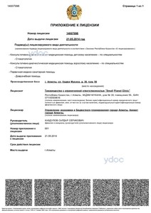 Приложение к лицензии