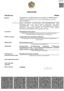 Лицензия Лицензия